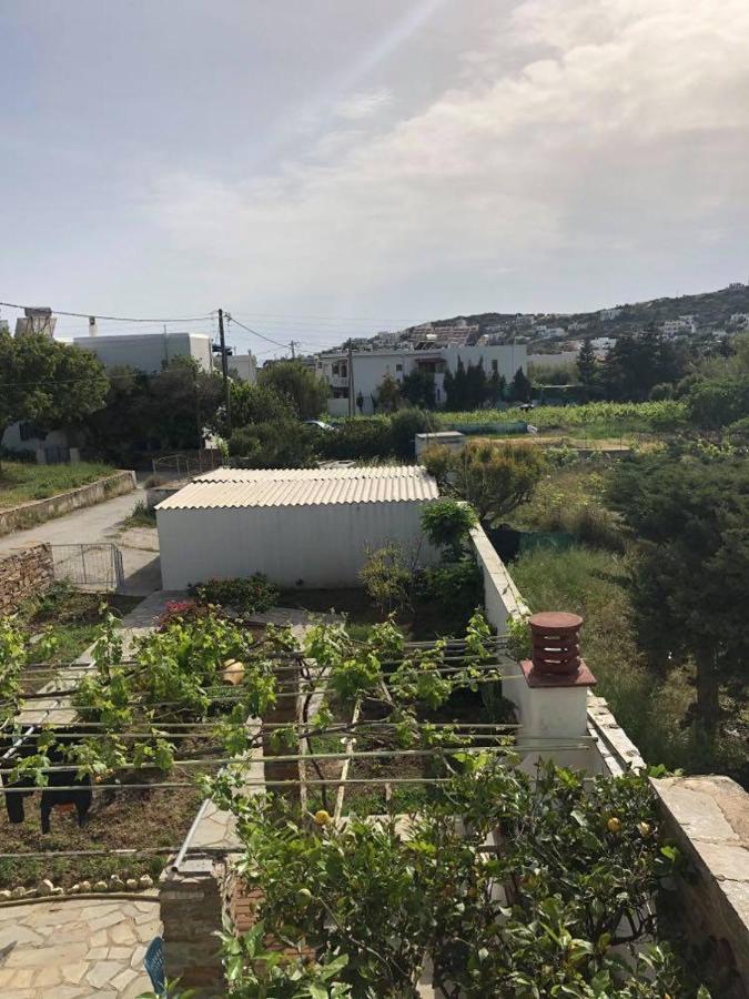Villa Koula Batsíon Dış mekan fotoğraf